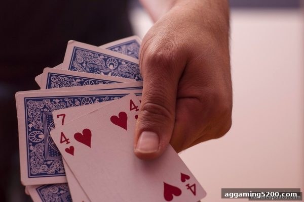 骰宝玩法全解析：让球盘平台带你走出常见认知盲区