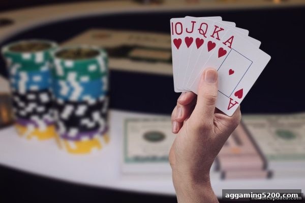 让球盘平台深度解析：报牌频率的盈利真相——数据告诉你如何优化策略