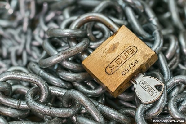 让球盘平台视角下：飞禽走兽游戏的本质、风险与理性参与全解析