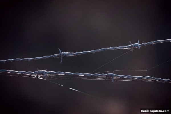 让球盘平台揭秘：如何精准识破免费体验金陷阱？五大评估维度详解（以天博体育为例）